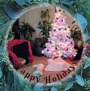 Meet your Posher, Akosua